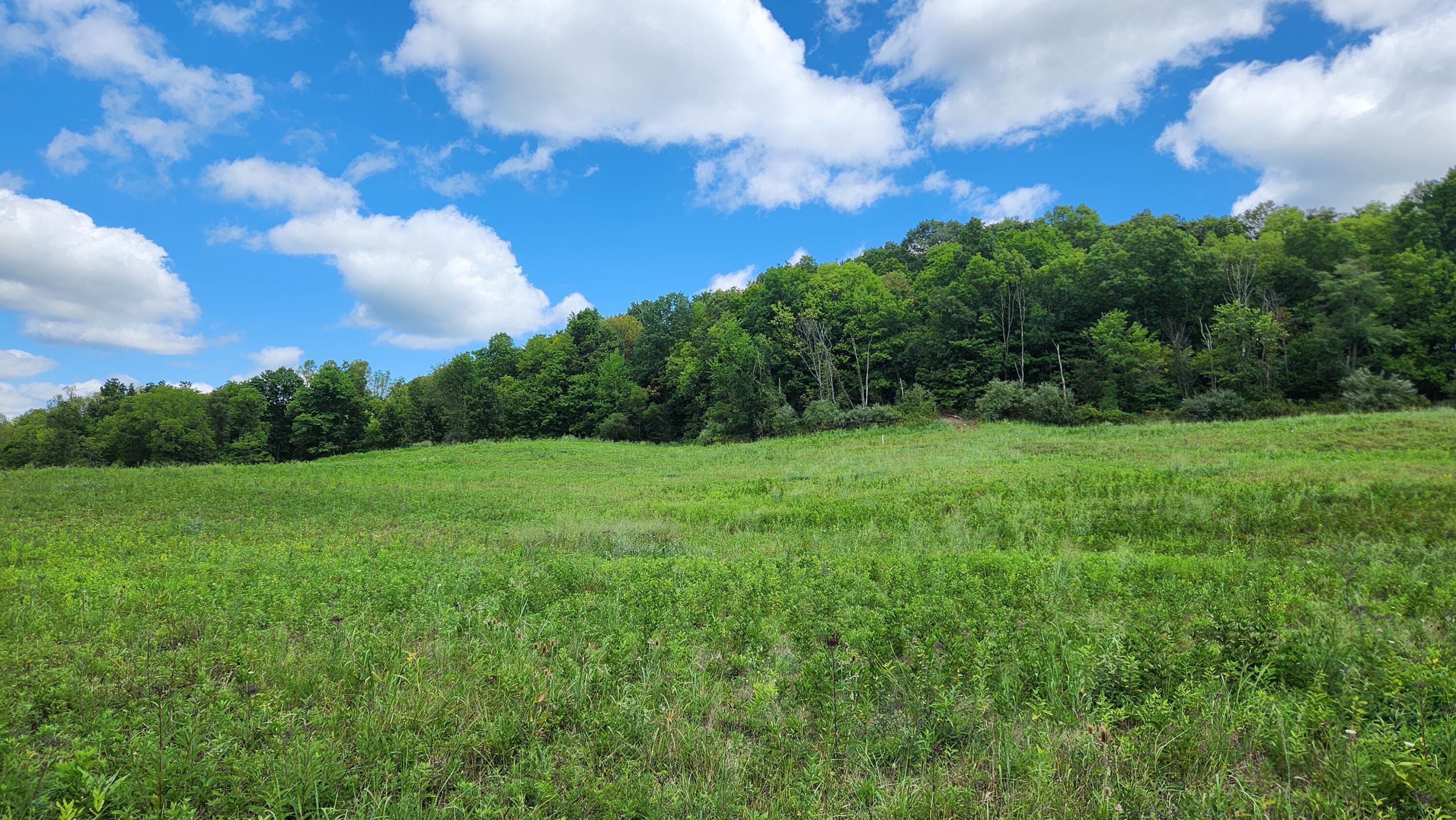 34872 Sr 681 #TRACT 14 ALBANY WOODS, Albany, Ohio image 7