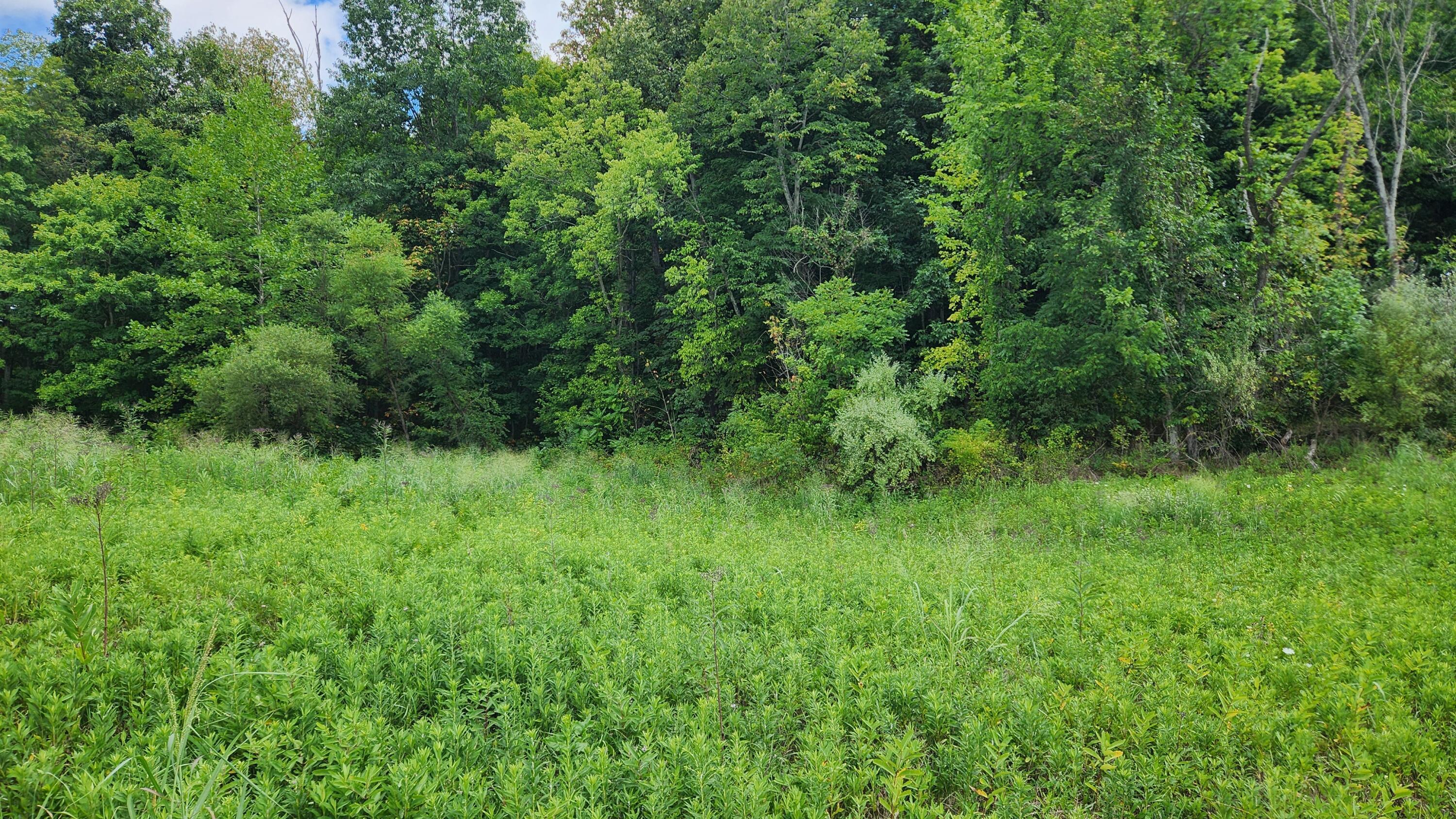 34872 Sr 681 #TRACT 14 ALBANY WOODS, Albany, Ohio image 9