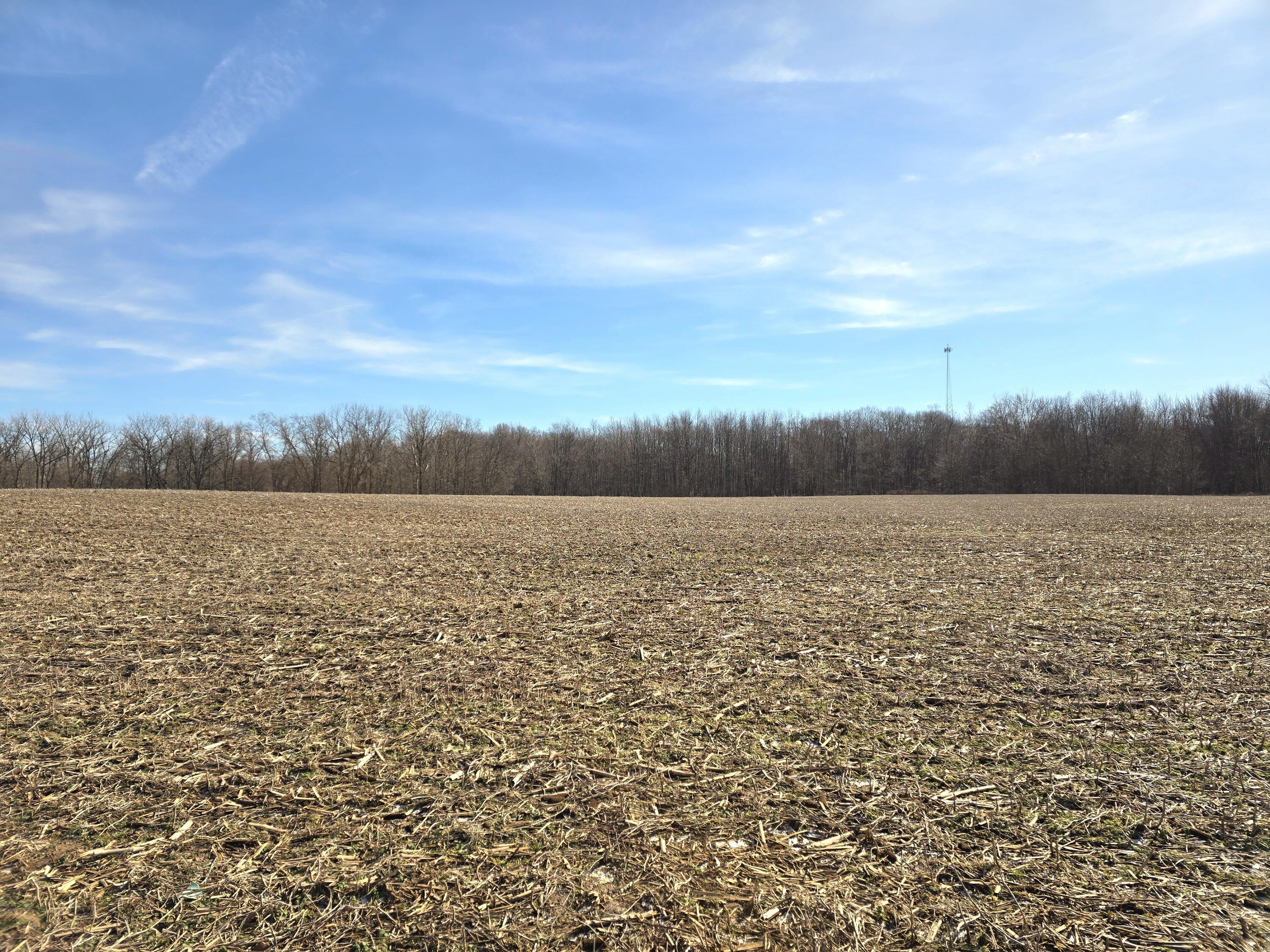0002 County Road 19, Marengo, Ohio image 5