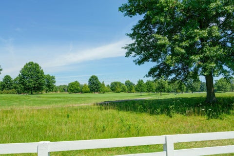 Tiny photo for 7930 Cole Park N, New Albany, OH 43054 (MLS # 226022366)