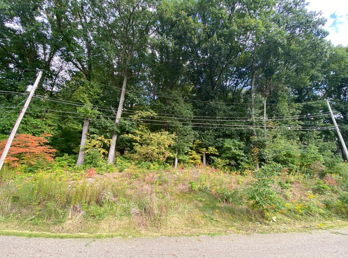 Lynnwood Drive, Minerva, Ohio image 1