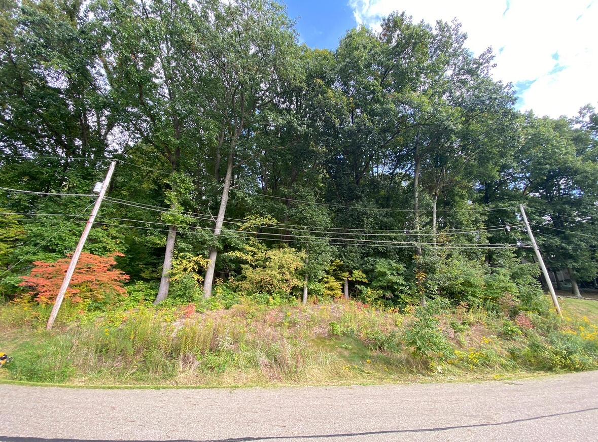 Lynnwood Drive, Minerva, Ohio image 2