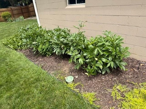 Tiny photo for 372 E Lincoln Avenue, Columbus, OH 43214 (MLS # 226022485)