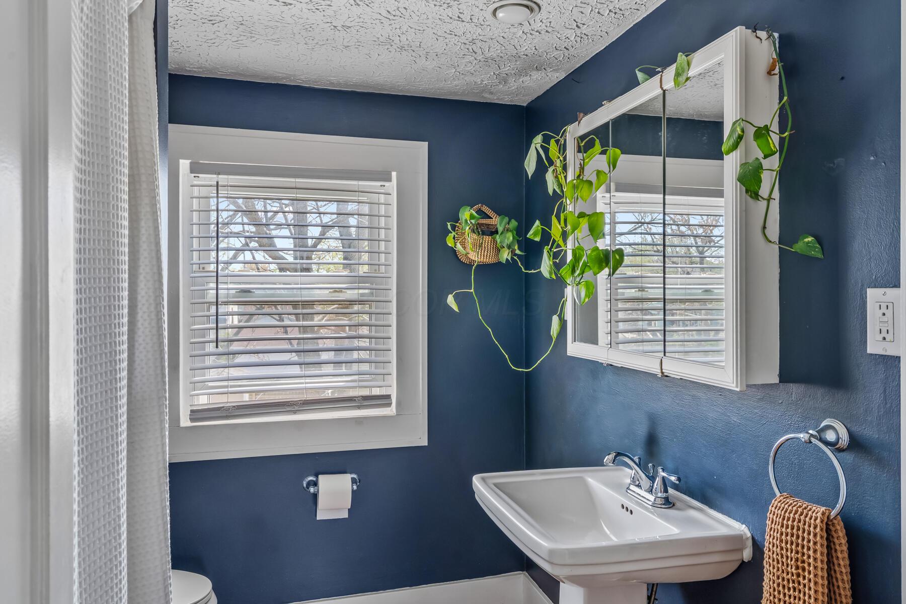 391 Sheldon Avenue, Columbus, Ohio image 27