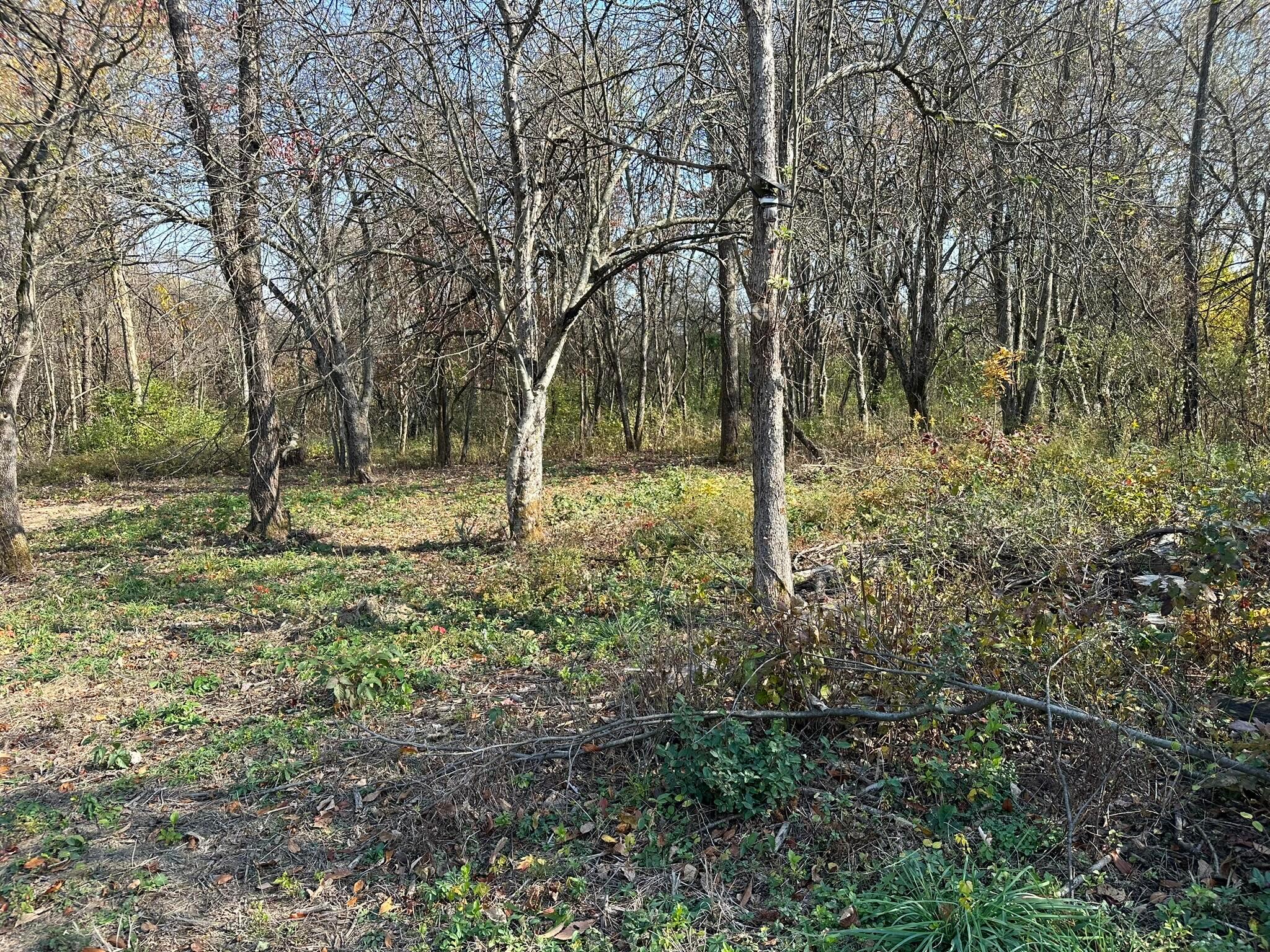 Lot 5 Mockingbird Lane, Granville, Ohio image 5