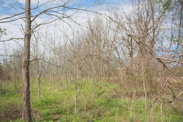 3799 Twp. Rd. 134, Cardington, Ohio image 42