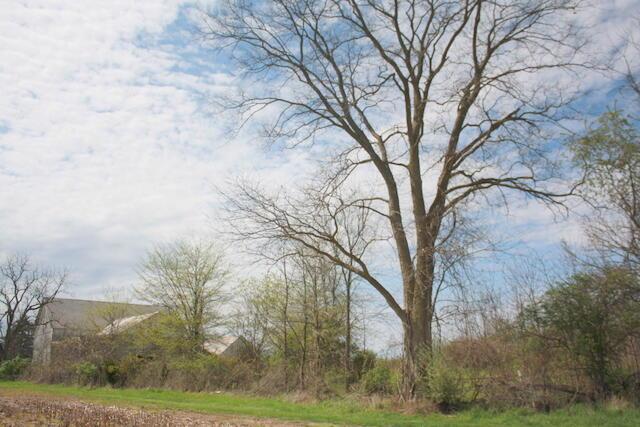 3799 Twp. Rd. 134, Cardington, Ohio image 41