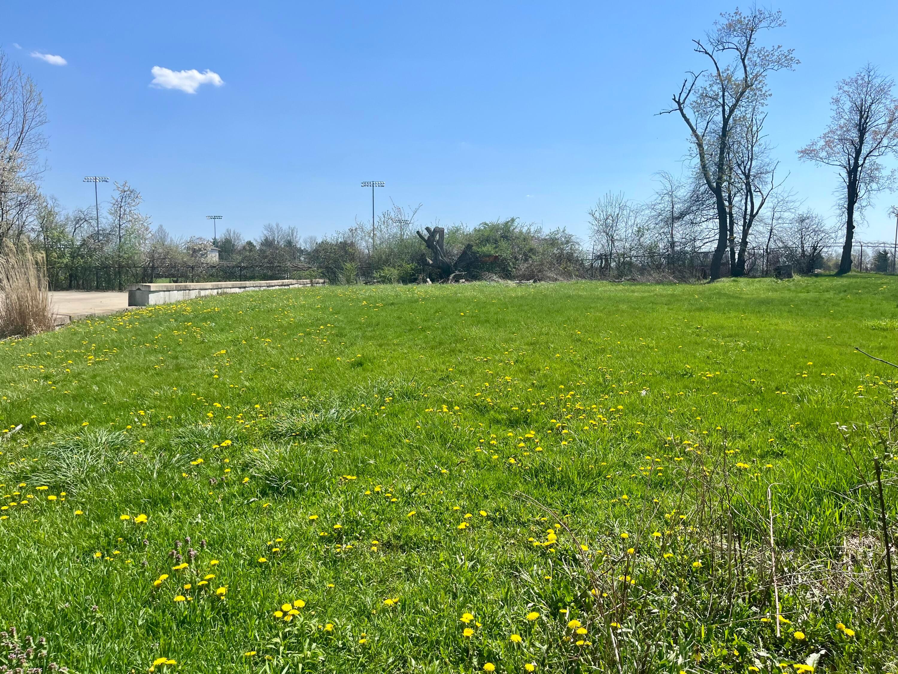 137 W Cook Road, Mansfield, Ohio image 3