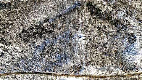 Tiny photo for 275 Limerick Road, Jackson, OH 45640 (MLS # 226002832)