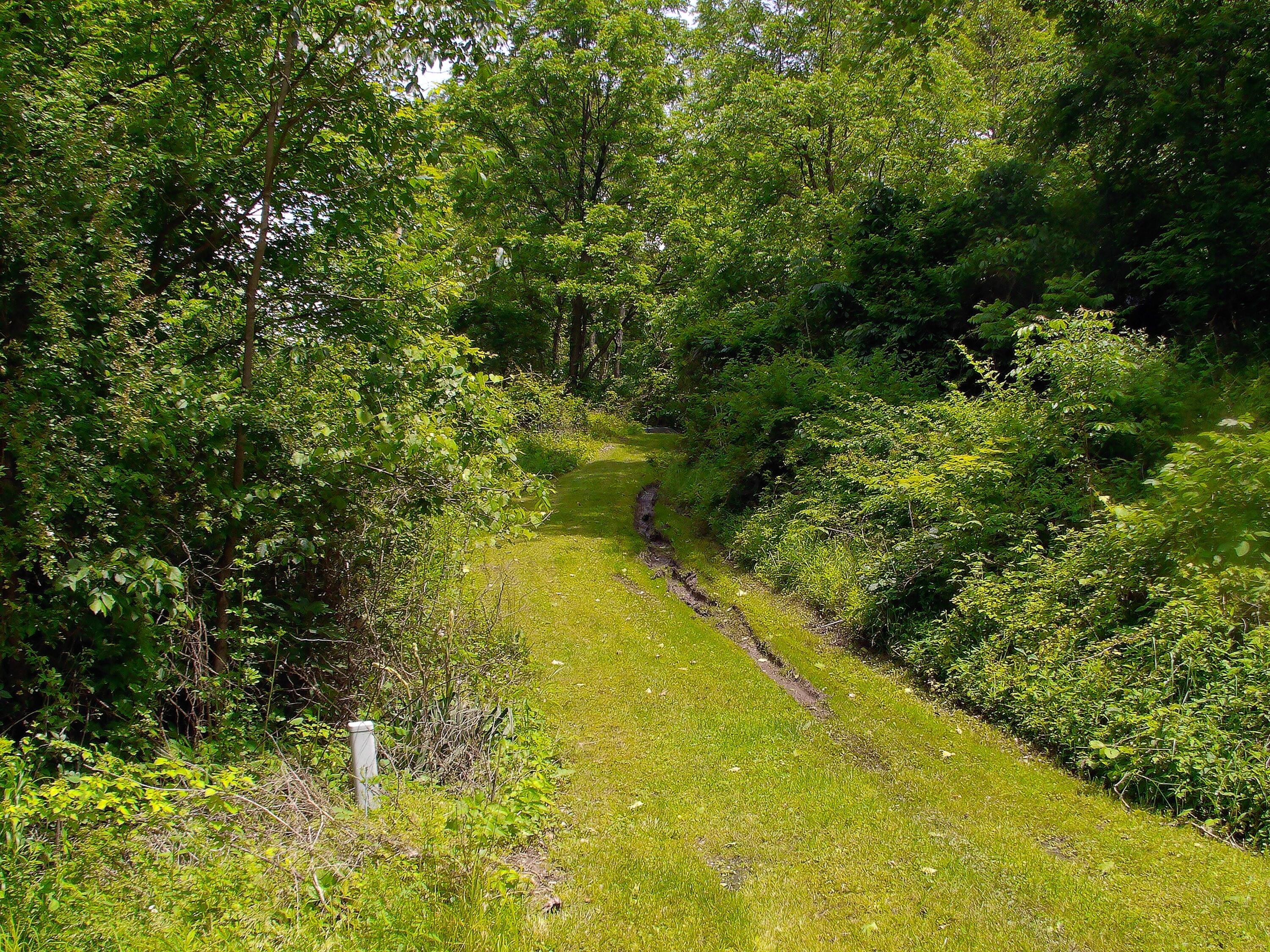 Long Street, Murray City, Ohio image 3