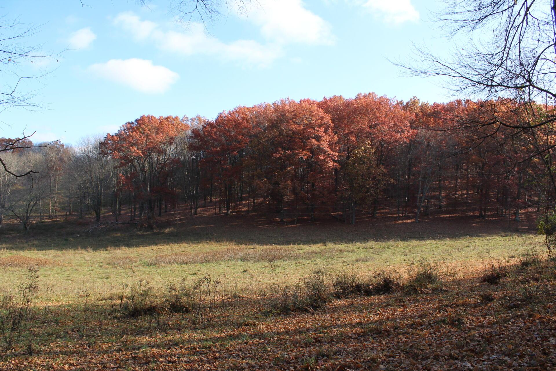 Beal Road #TRACT 5, Newark, Ohio image 42
