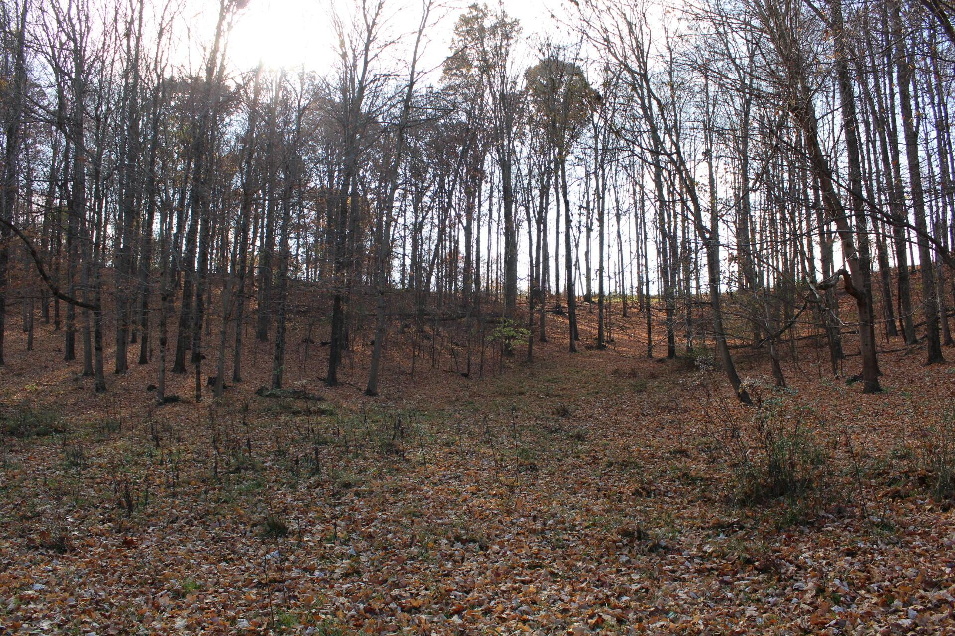 Beal Road #TRACT 5, Newark, Ohio image 45