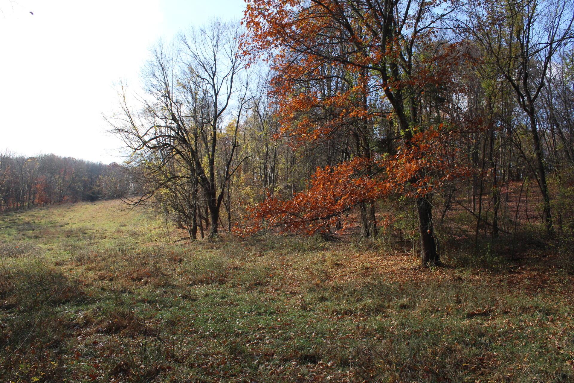 Beal Road #TRACT 5, Newark, Ohio image 46