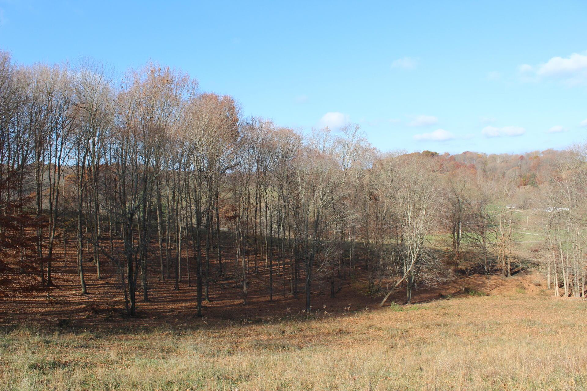 Beal Road #TRACT 5, Newark, Ohio image 35