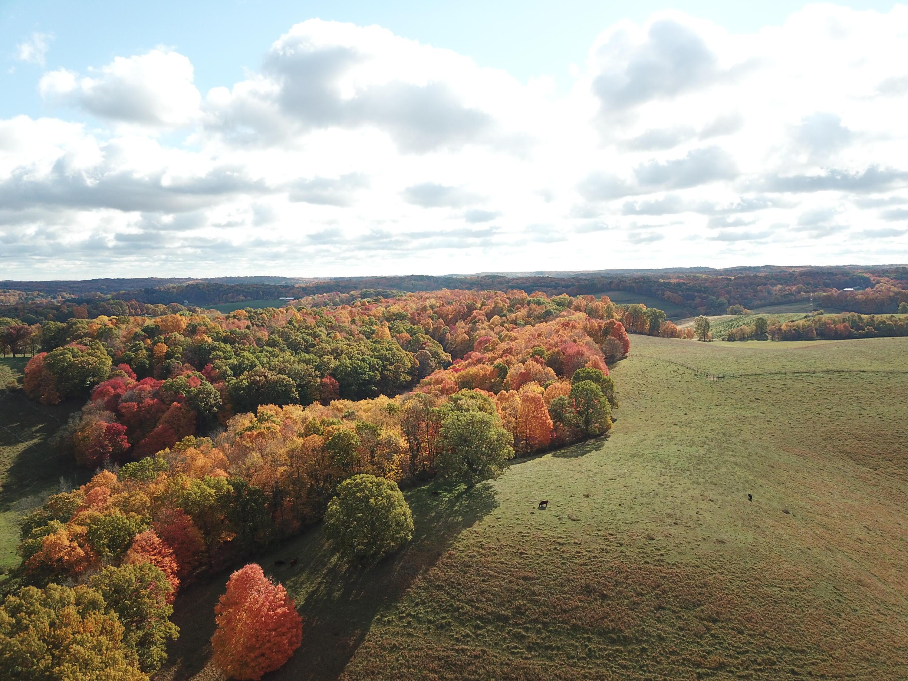 Beal Road #TRACT 5, Newark, Ohio image 30