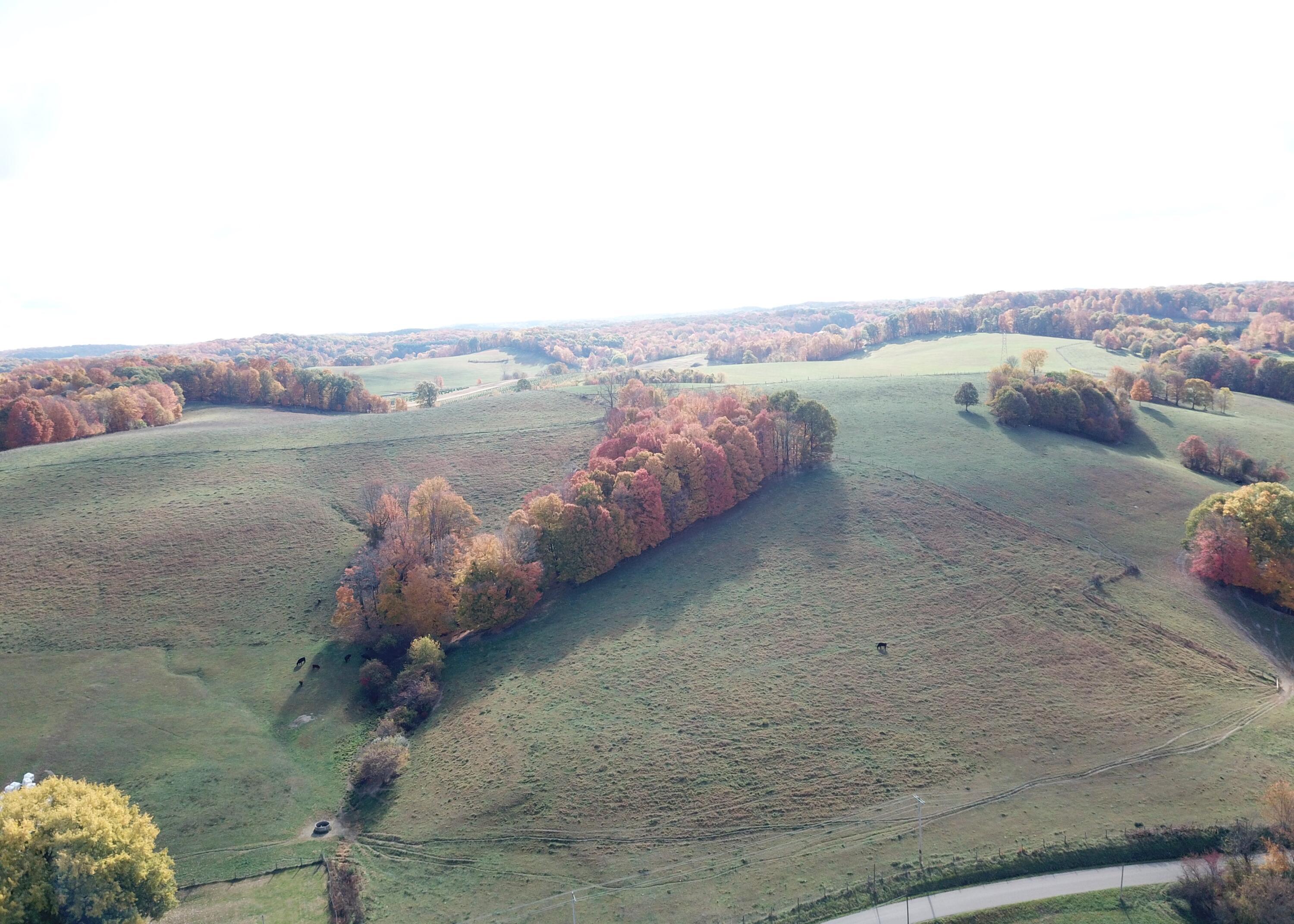 Beal Road #TRACT 5, Newark, Ohio image 5