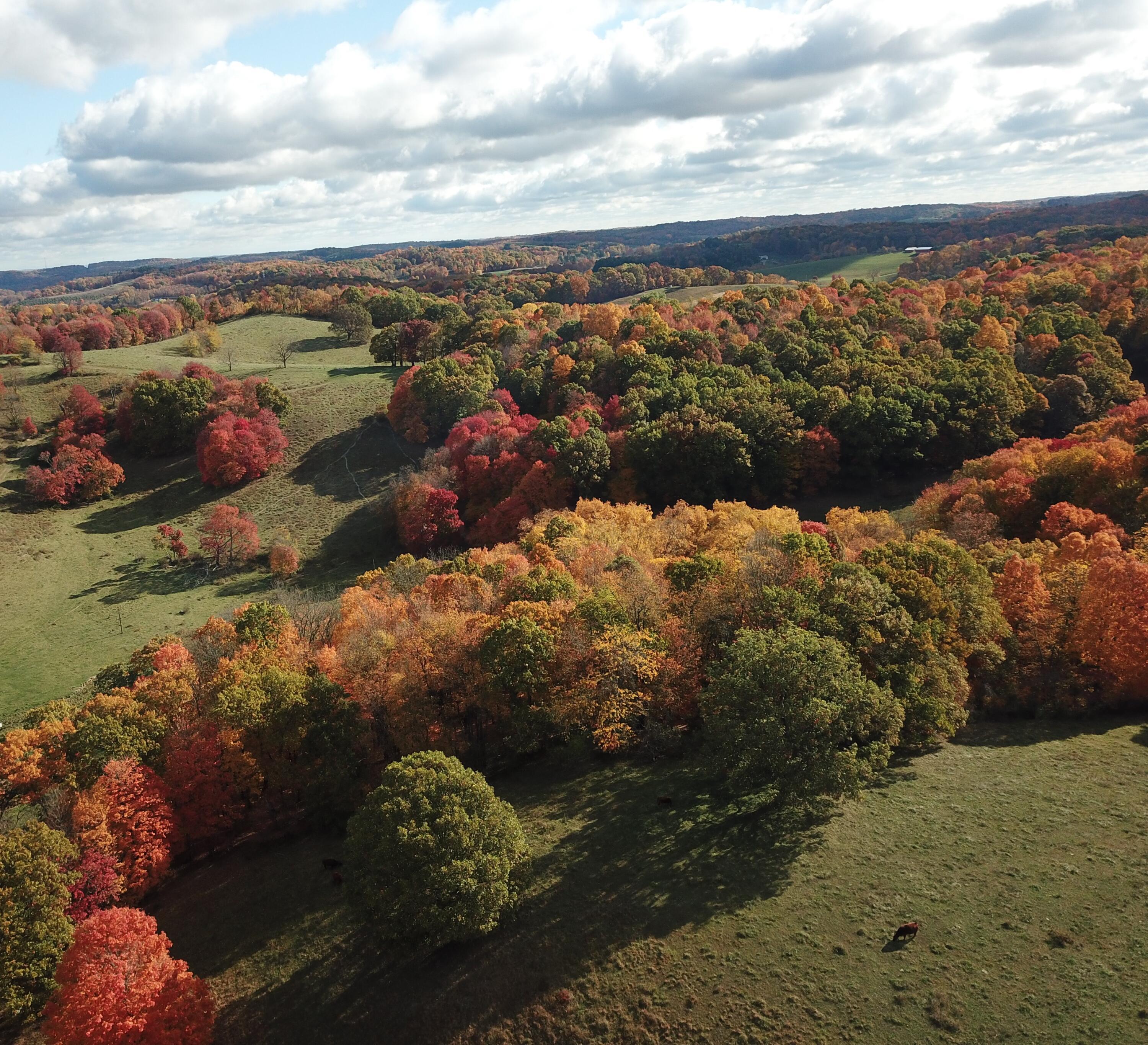 Beal Road #TRACT 5, Newark, Ohio image 1