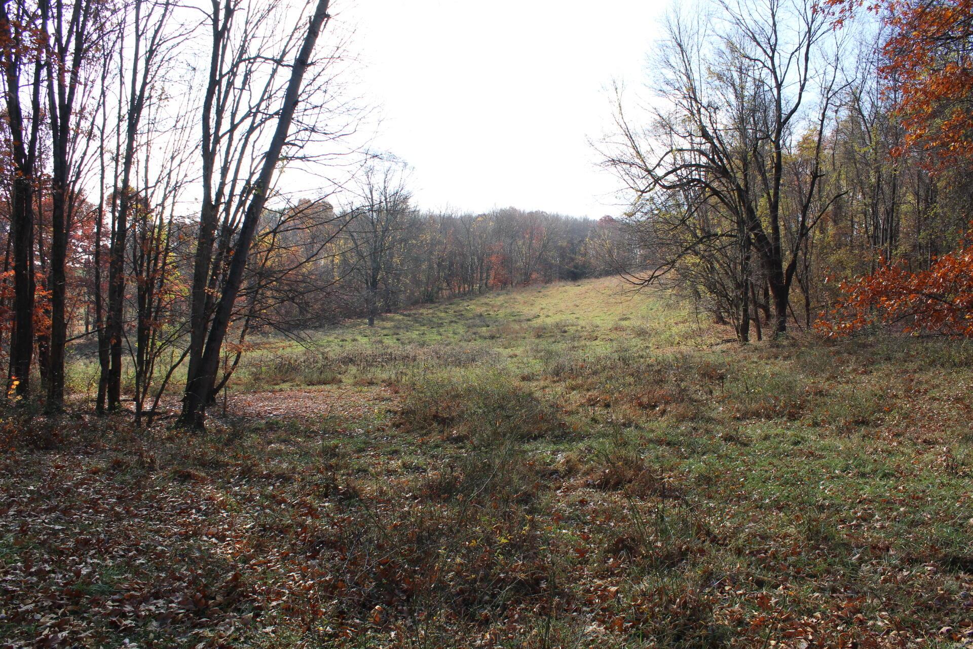 Beal Road #TRACT 5, Newark, Ohio image 47