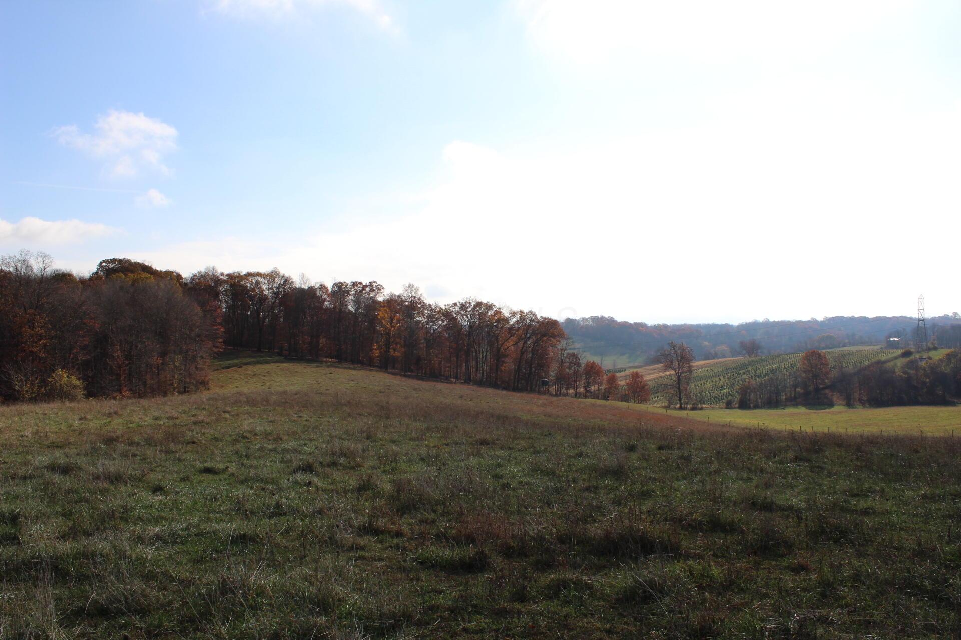 Beal Road #TRACT 5, Newark, Ohio image 40