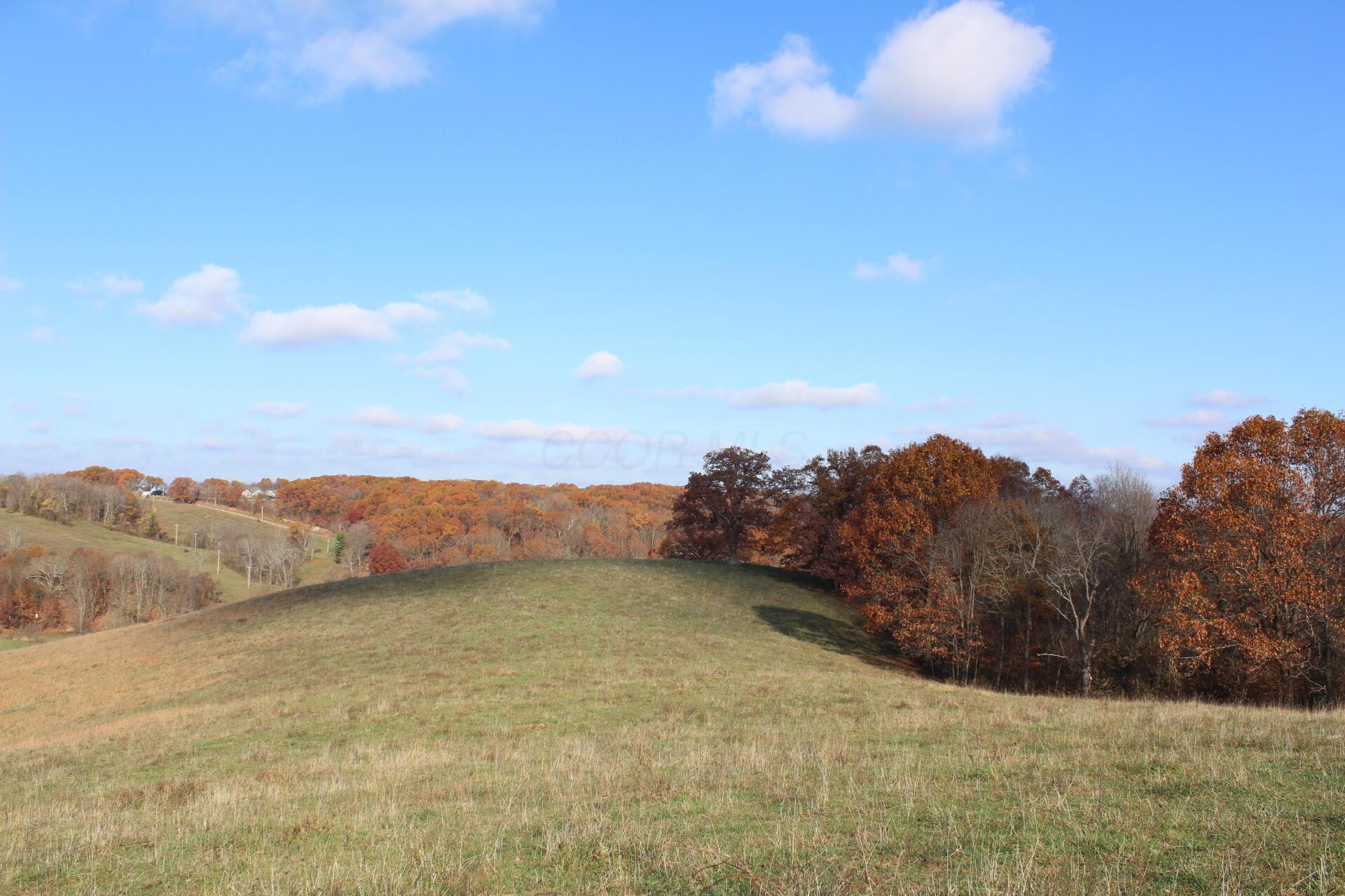 Beal Road #TRACT 5, Newark, Ohio image 38
