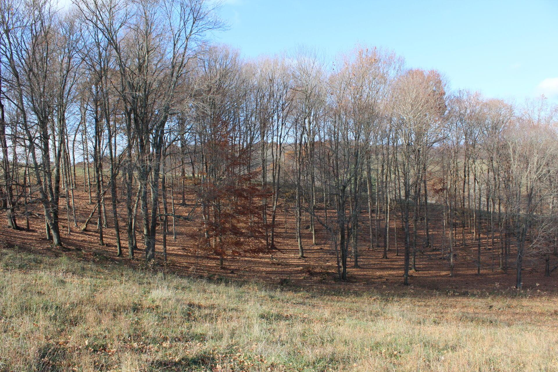 Beal Road #TRACT 5, Newark, Ohio image 34