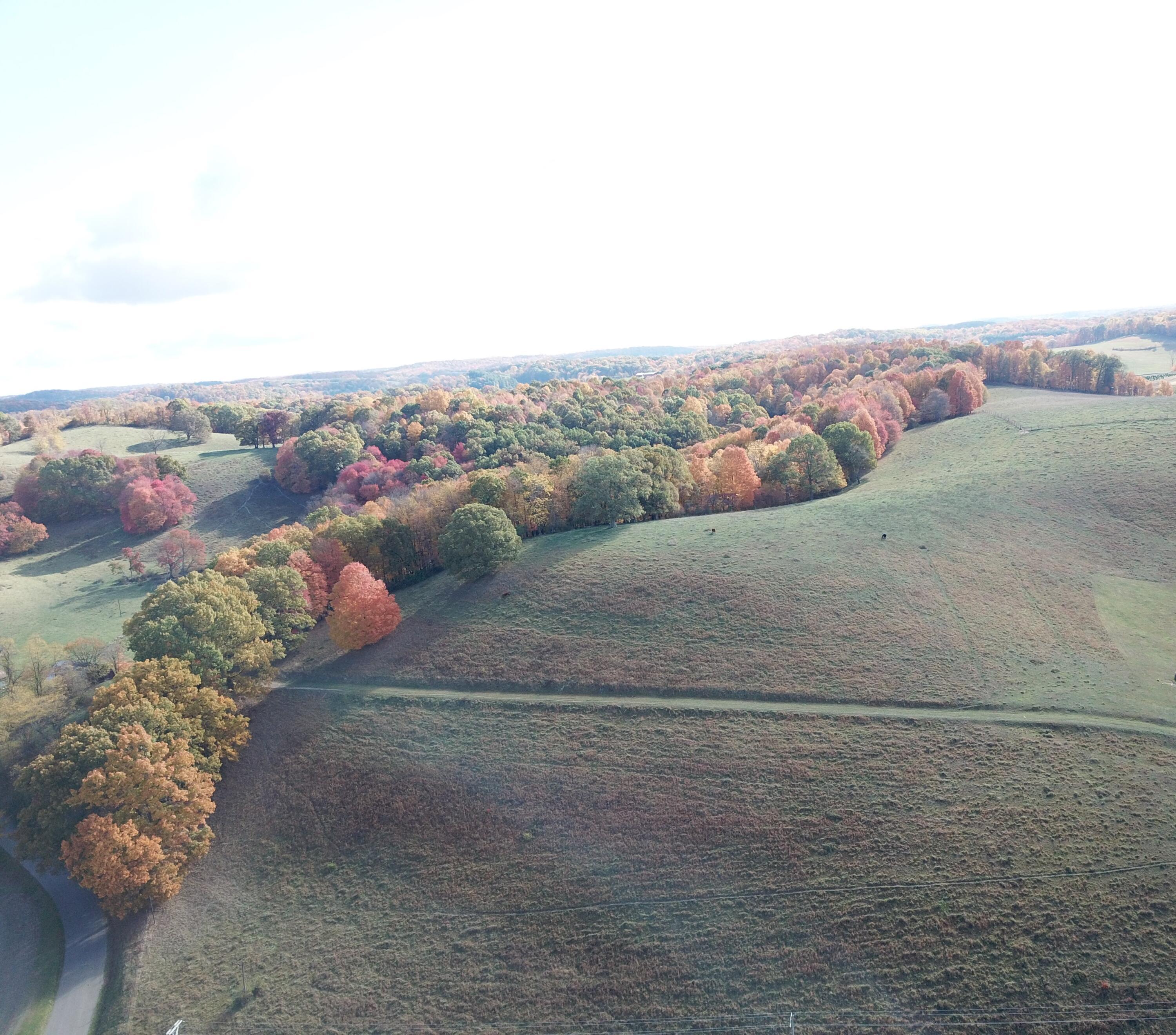 Beal Road #TRACT 5, Newark, Ohio image 4