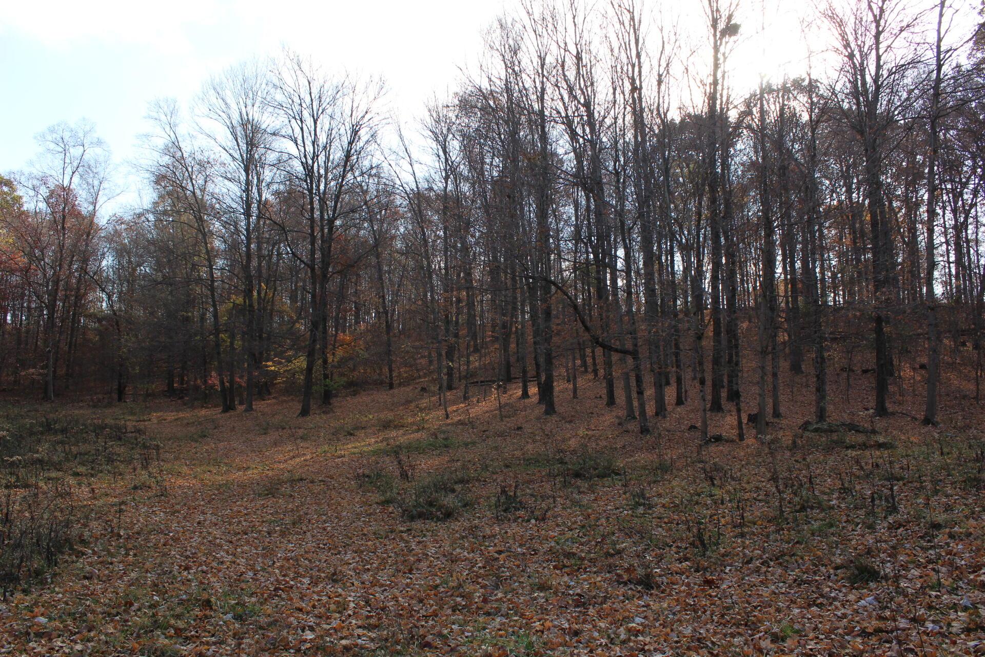 Beal Road #TRACT 5, Newark, Ohio image 44