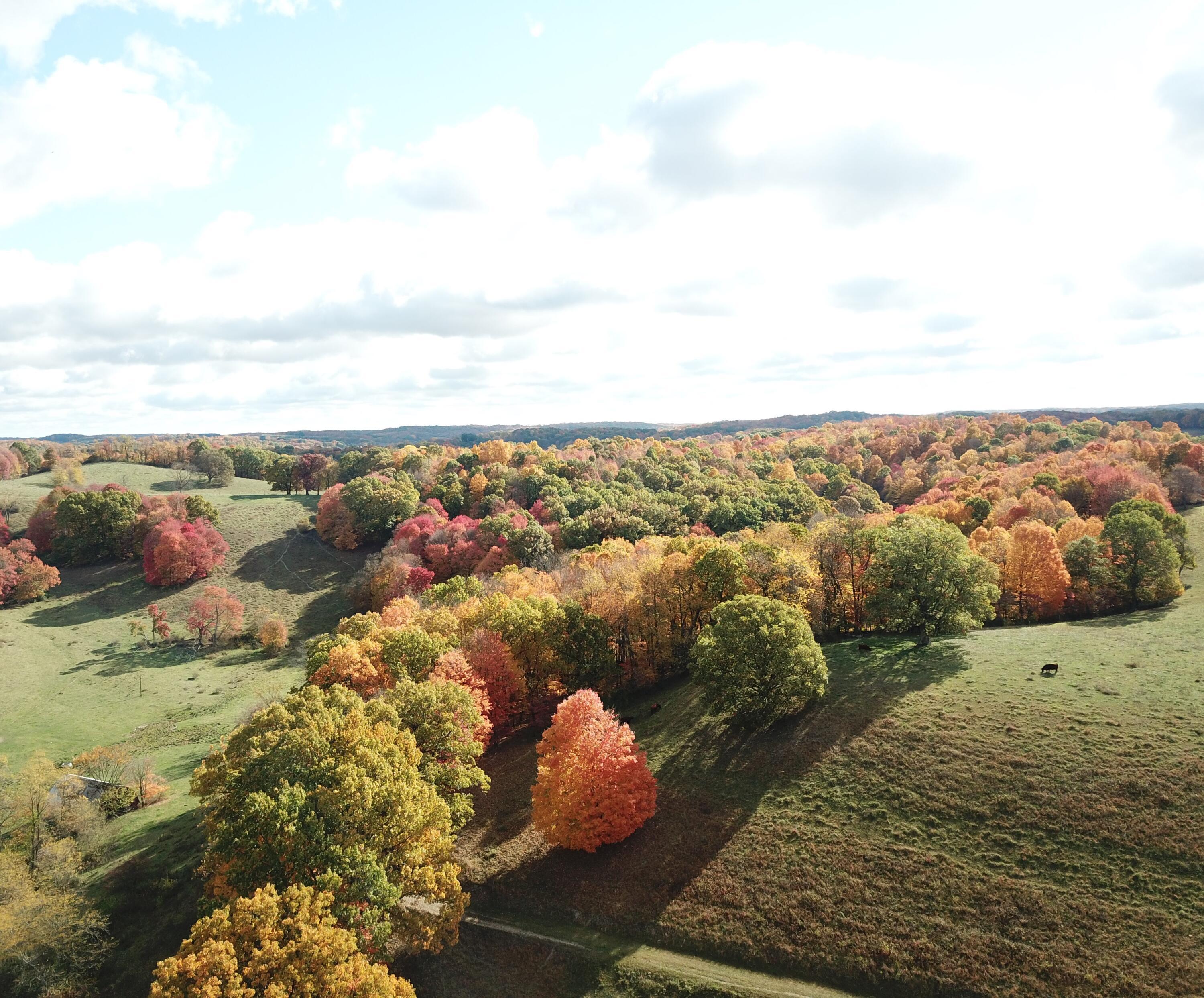 Beal Road #TRACT 5, Newark, Ohio image 31