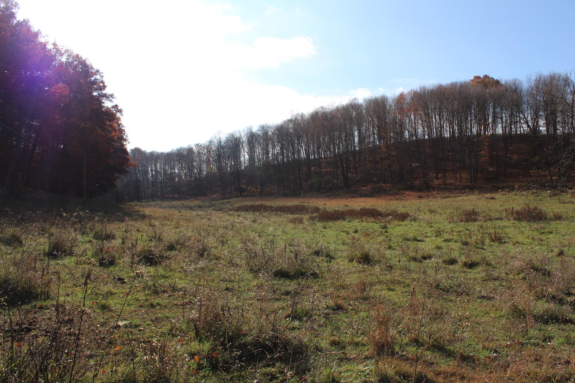 Beal Road #TRACT 5, Newark, Ohio image 48