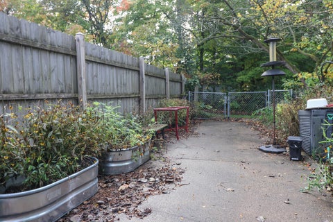 Tiny photo for 539 Maple Street, Mansfield, OH 44906 (MLS # 226039245)