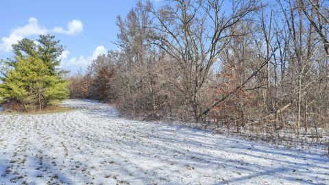 Photo of 0 London Groveport Road, Orient, OH 43146 (MLS # 225045866)