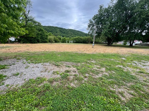 Vacant Land For Sale - 100 Shawnee Street<br/> Ross County, Bainbridge, OH 45612
