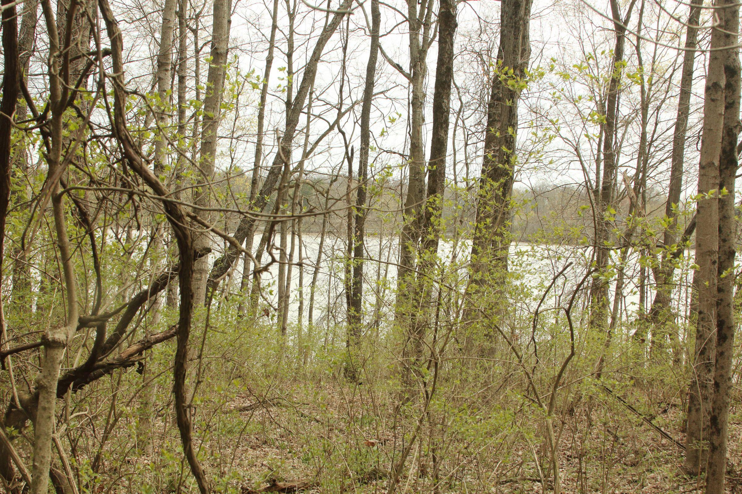 7239 Dublin Road, Delaware, Ohio image 14