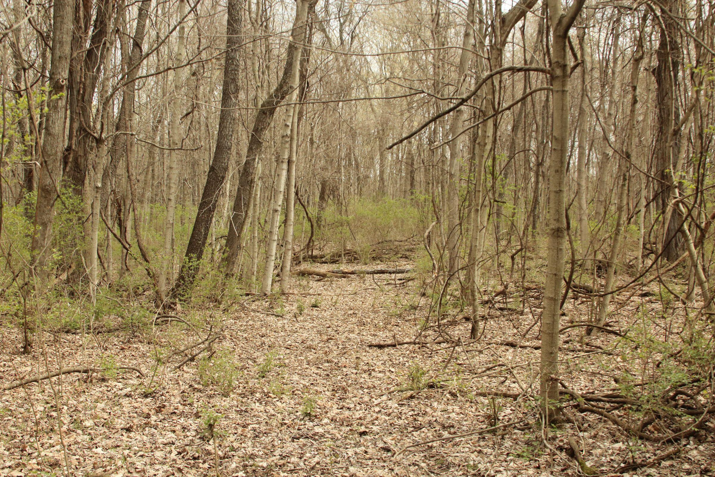 7239 Dublin Road, Delaware, Ohio image 12
