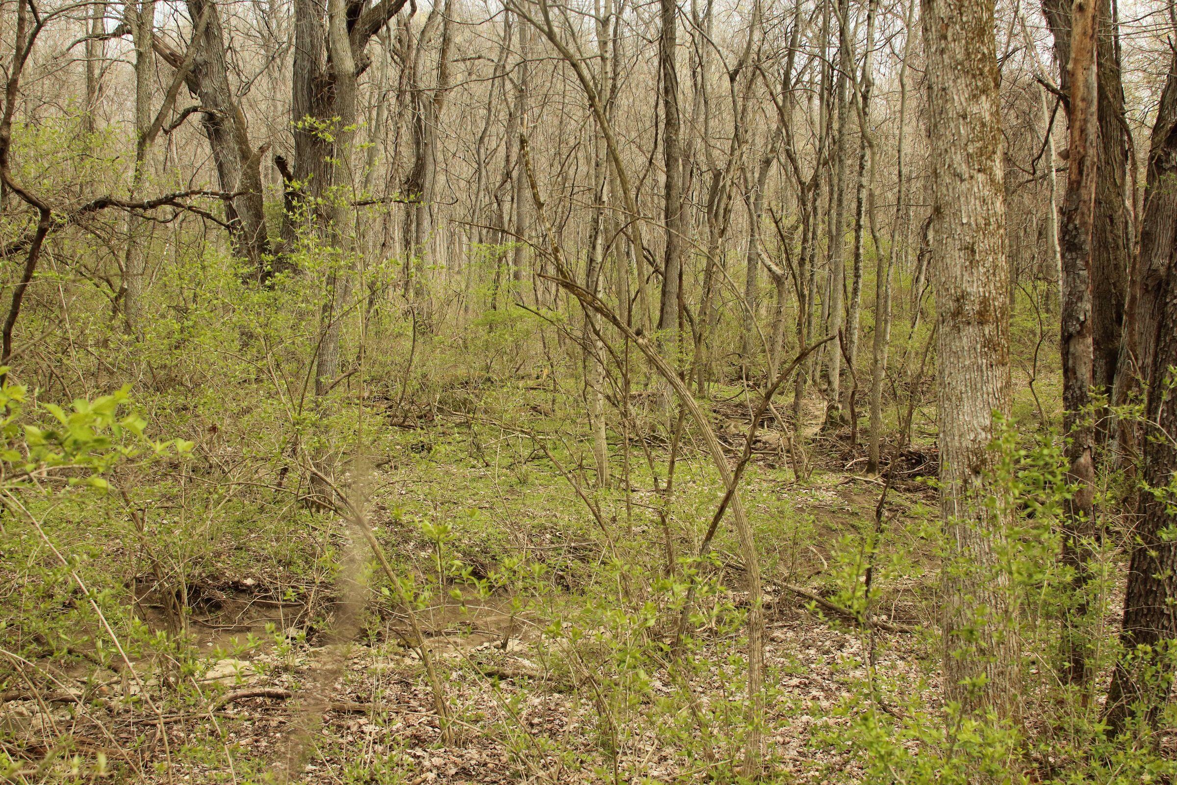 7239 Dublin Road, Delaware, Ohio image 11