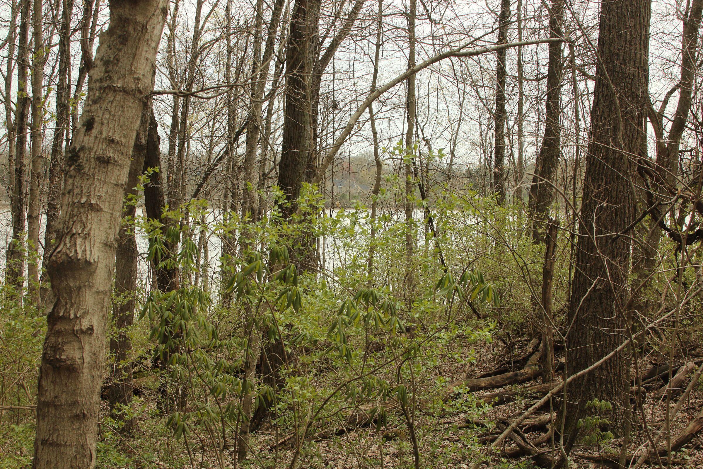 7239 Dublin Road, Delaware, Ohio image 13