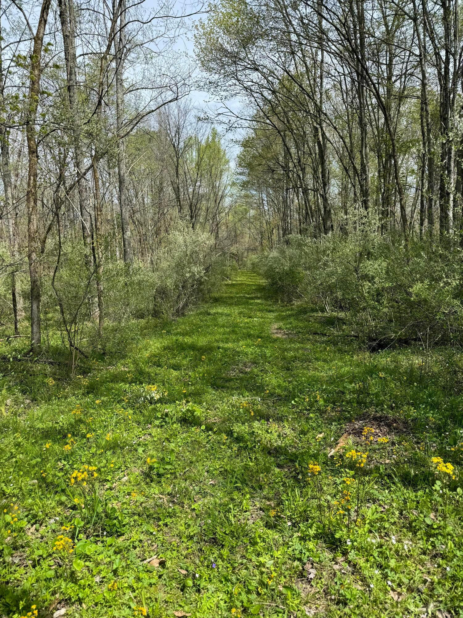 County Rd 11, New Lexington, Ohio image 7