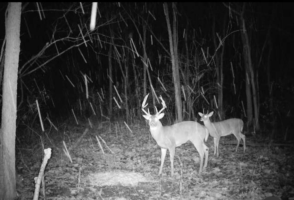 County Rd 11, New Lexington, Ohio image 6