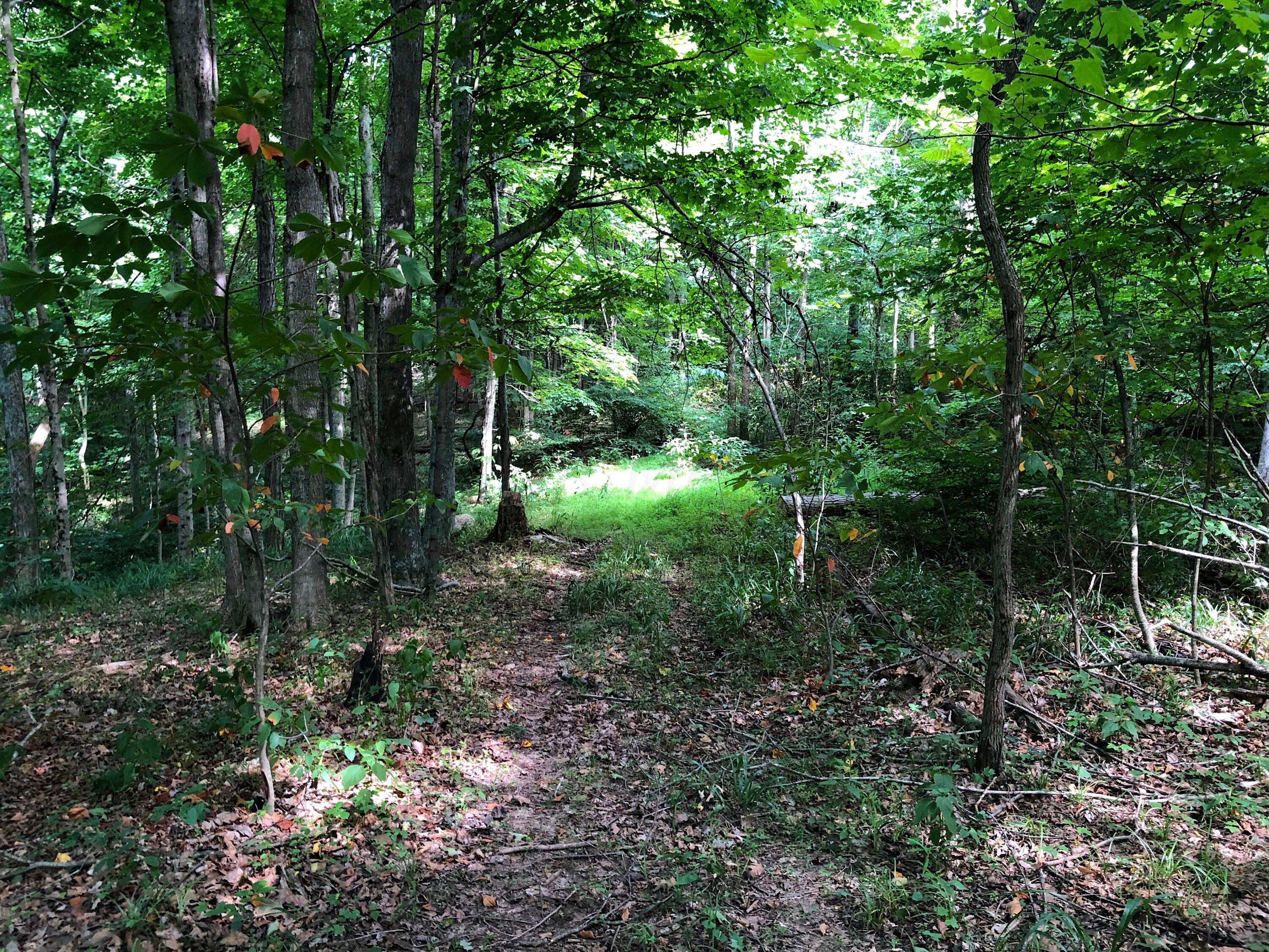 Photo 1 of 29 of 0 Clay Lick Road land