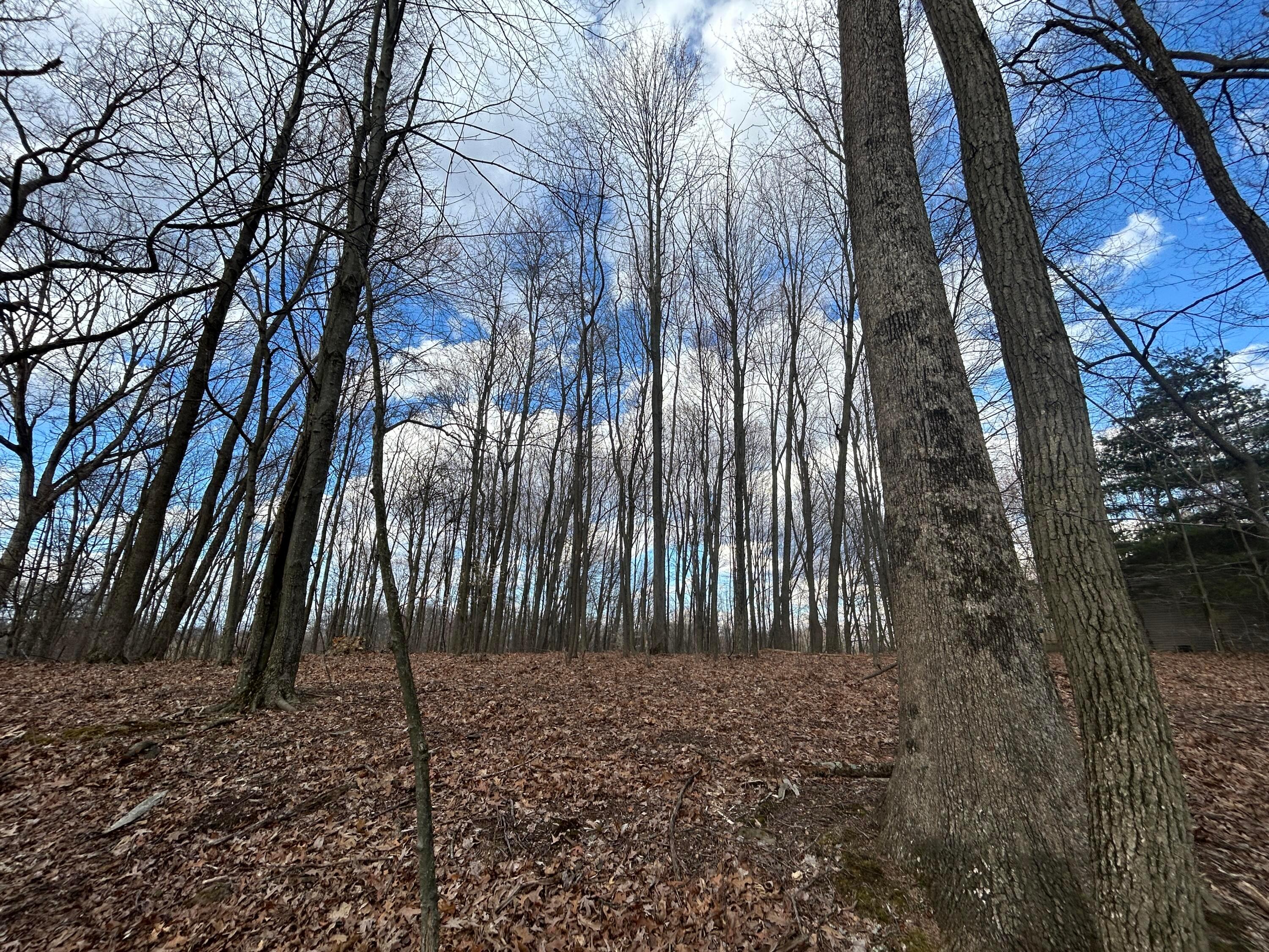 Eddyburg Road, Newark, Ohio image 9