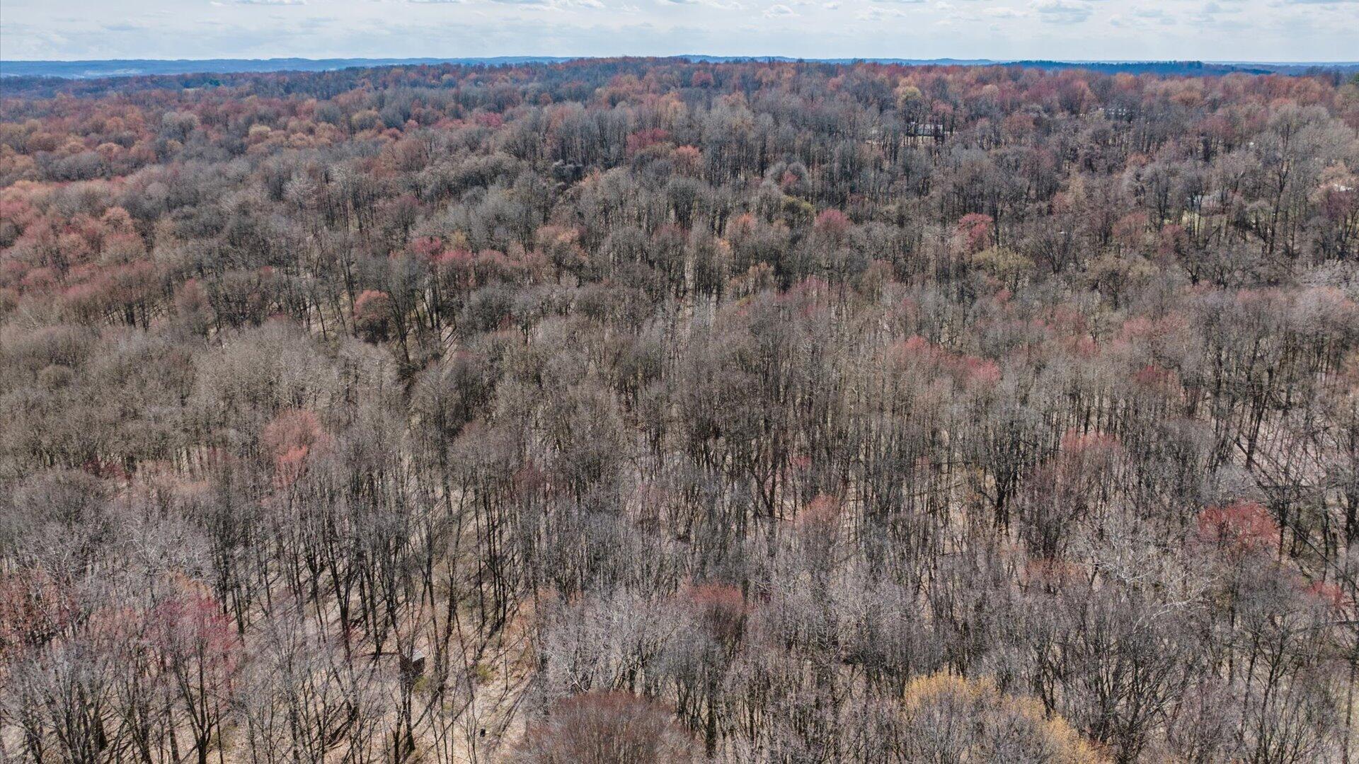 Eddyburg Road, Newark, Ohio image 17