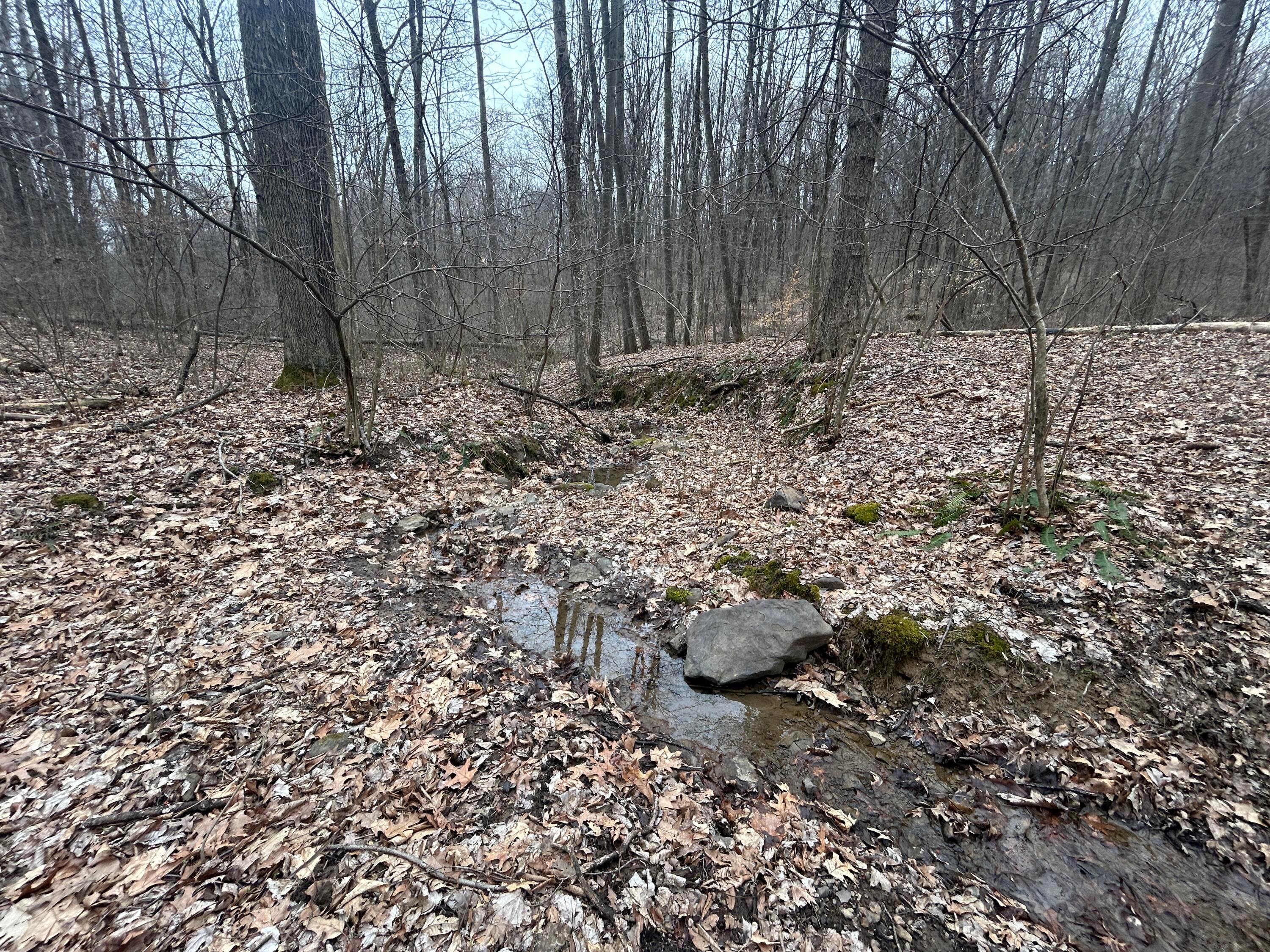 Eddyburg Road, Newark, Ohio image 7