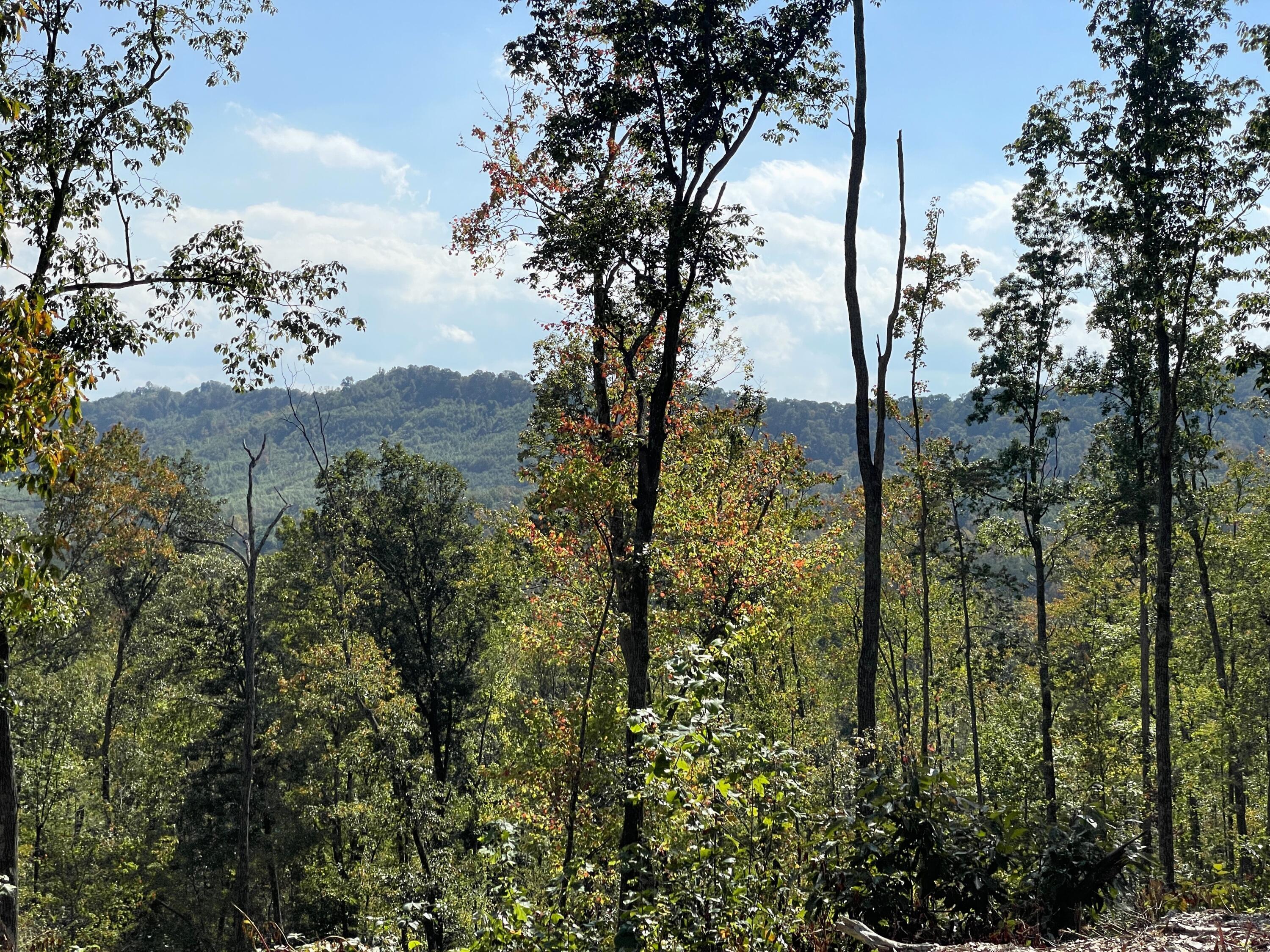 5744 Sr 781 #LOT 8, Peebles, Ohio image 3