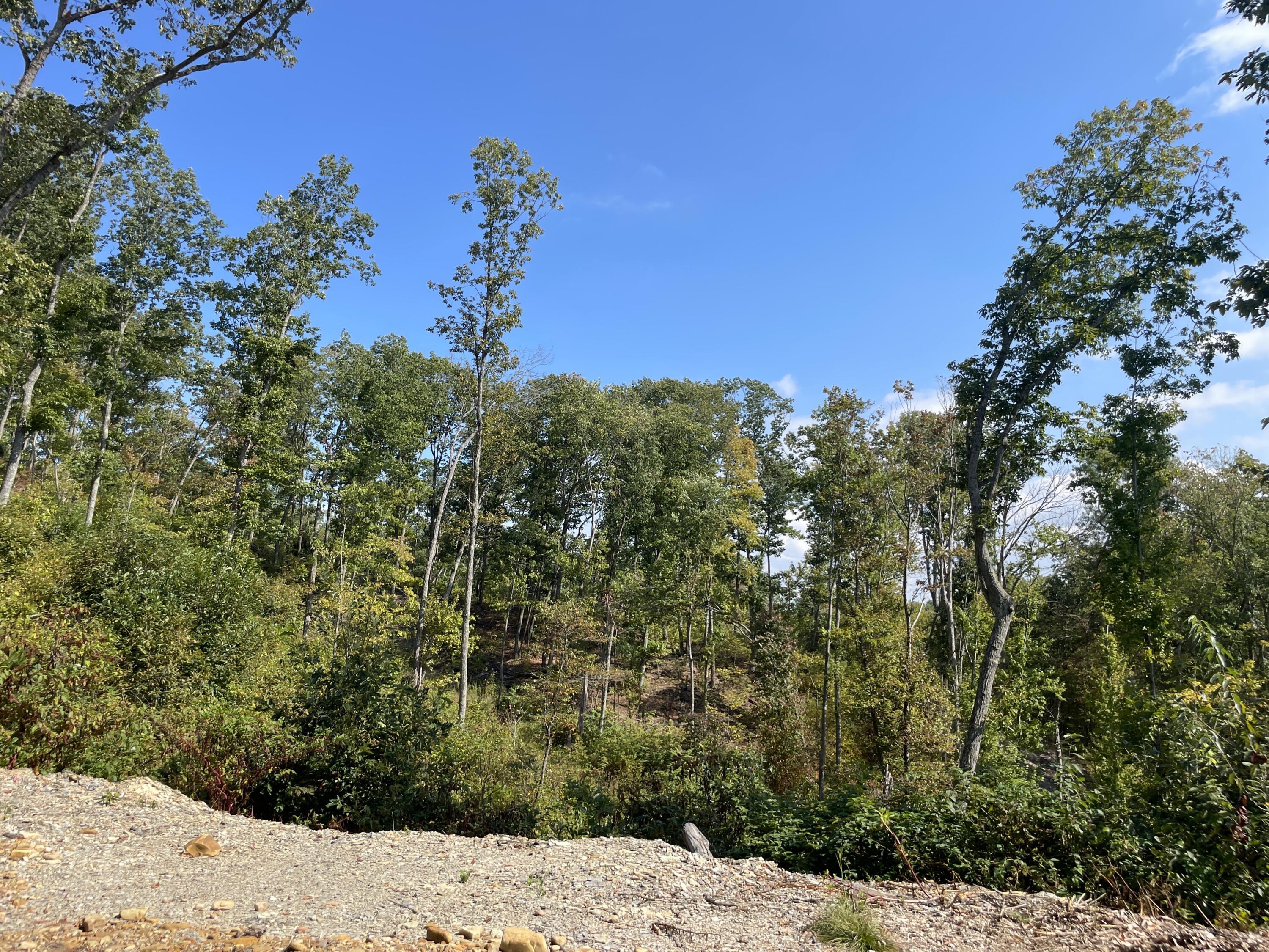 5744 Sr 781 #LOT 8, Peebles, Ohio image 20