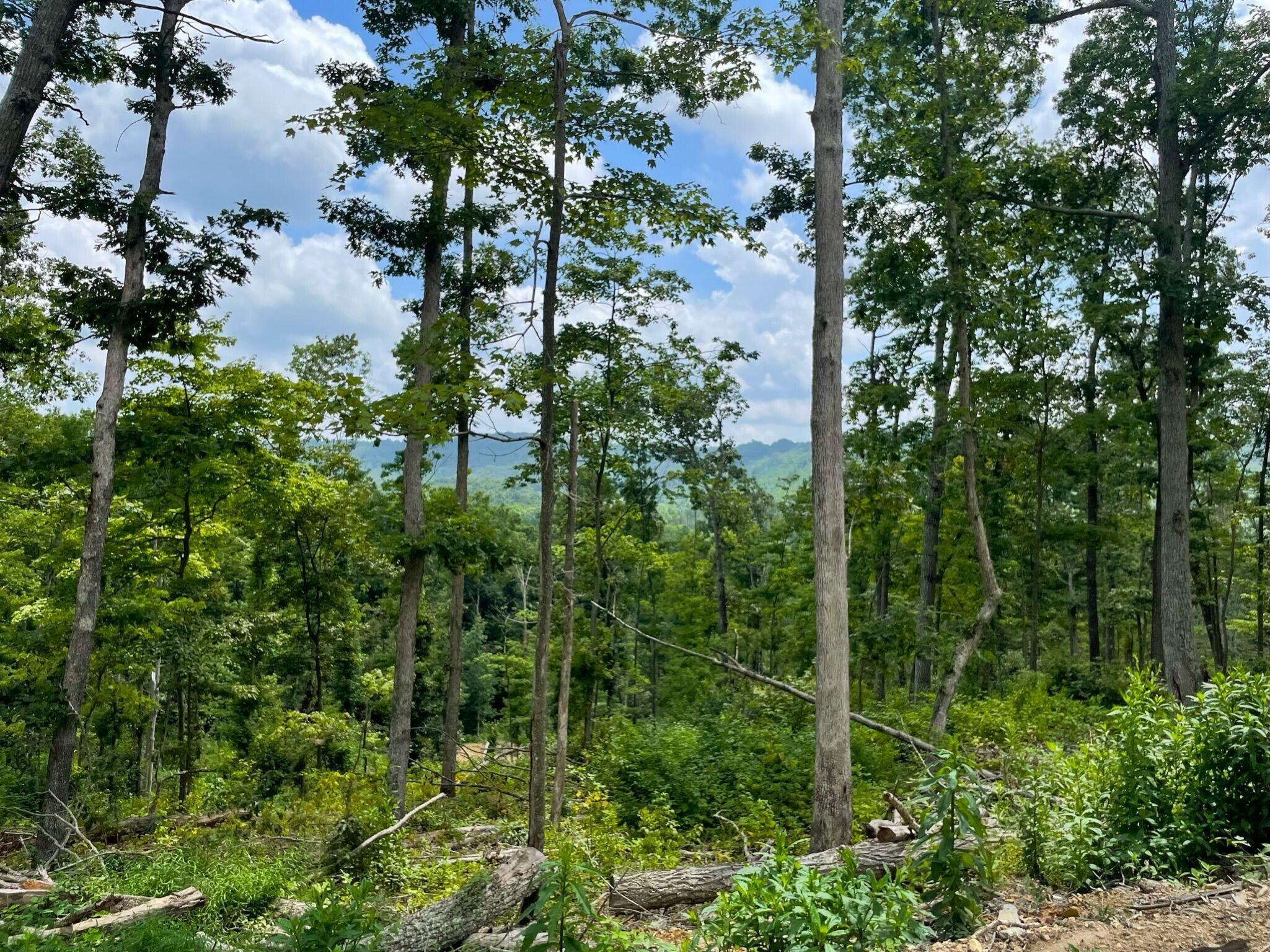5744 Sr 781 #LOT 8, Peebles, Ohio image 16