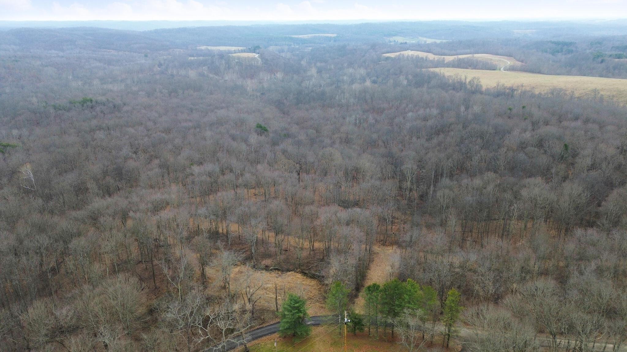 67884 Minnie White Road