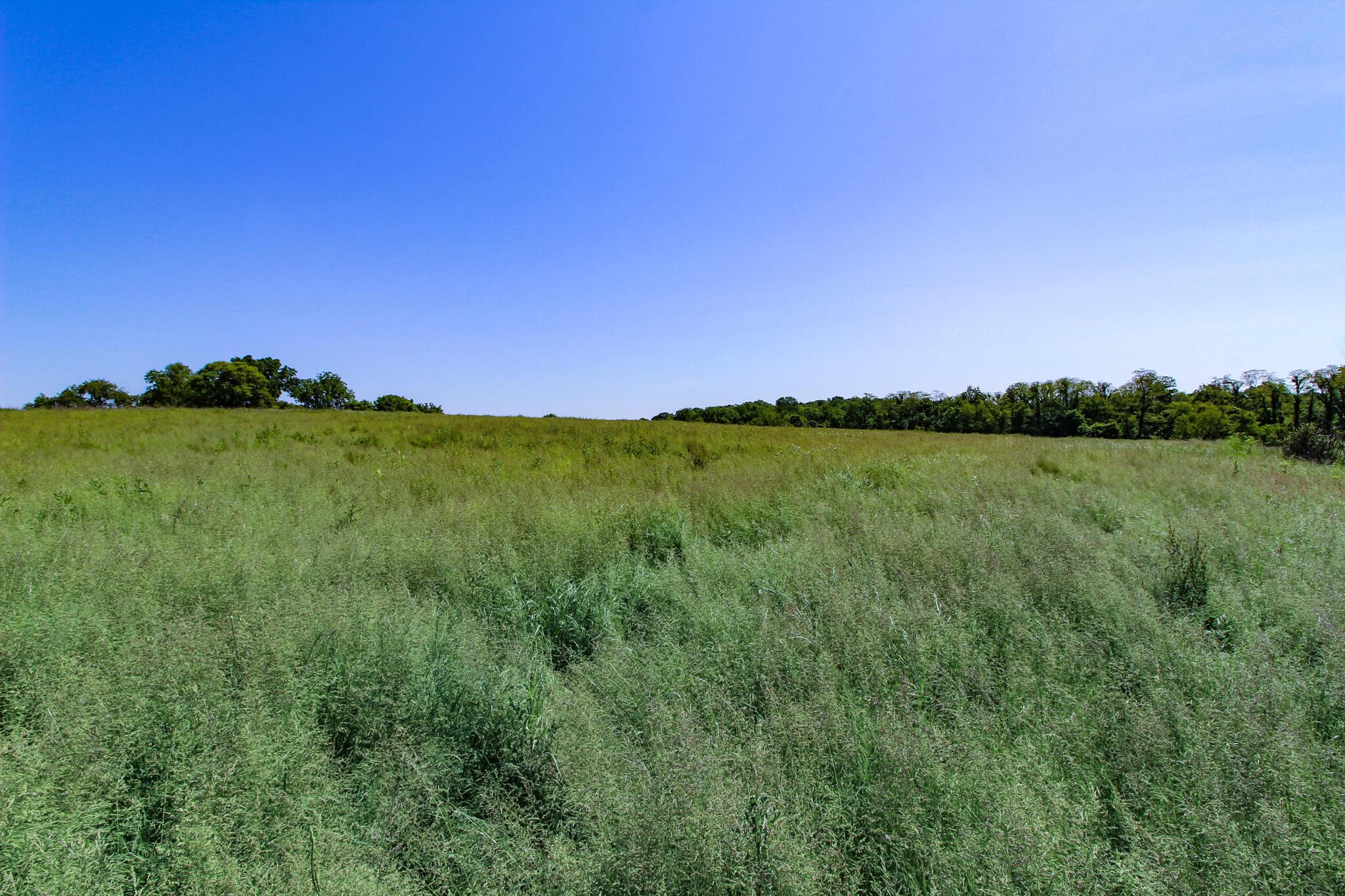 Township Rd 87 #LOT 11, Thornville, Ohio image 15