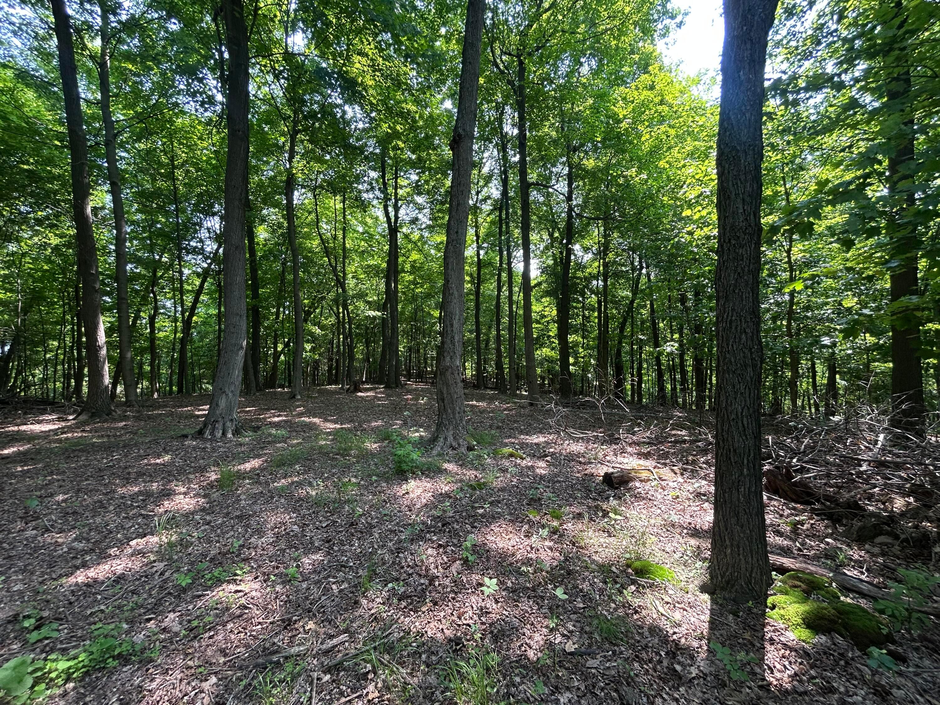 Cumberland Crest, Heath, Ohio image 29