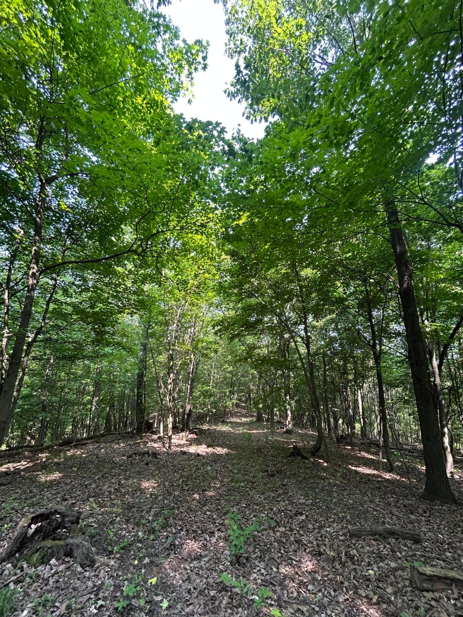 Cumberland Crest, Heath, Ohio image 41