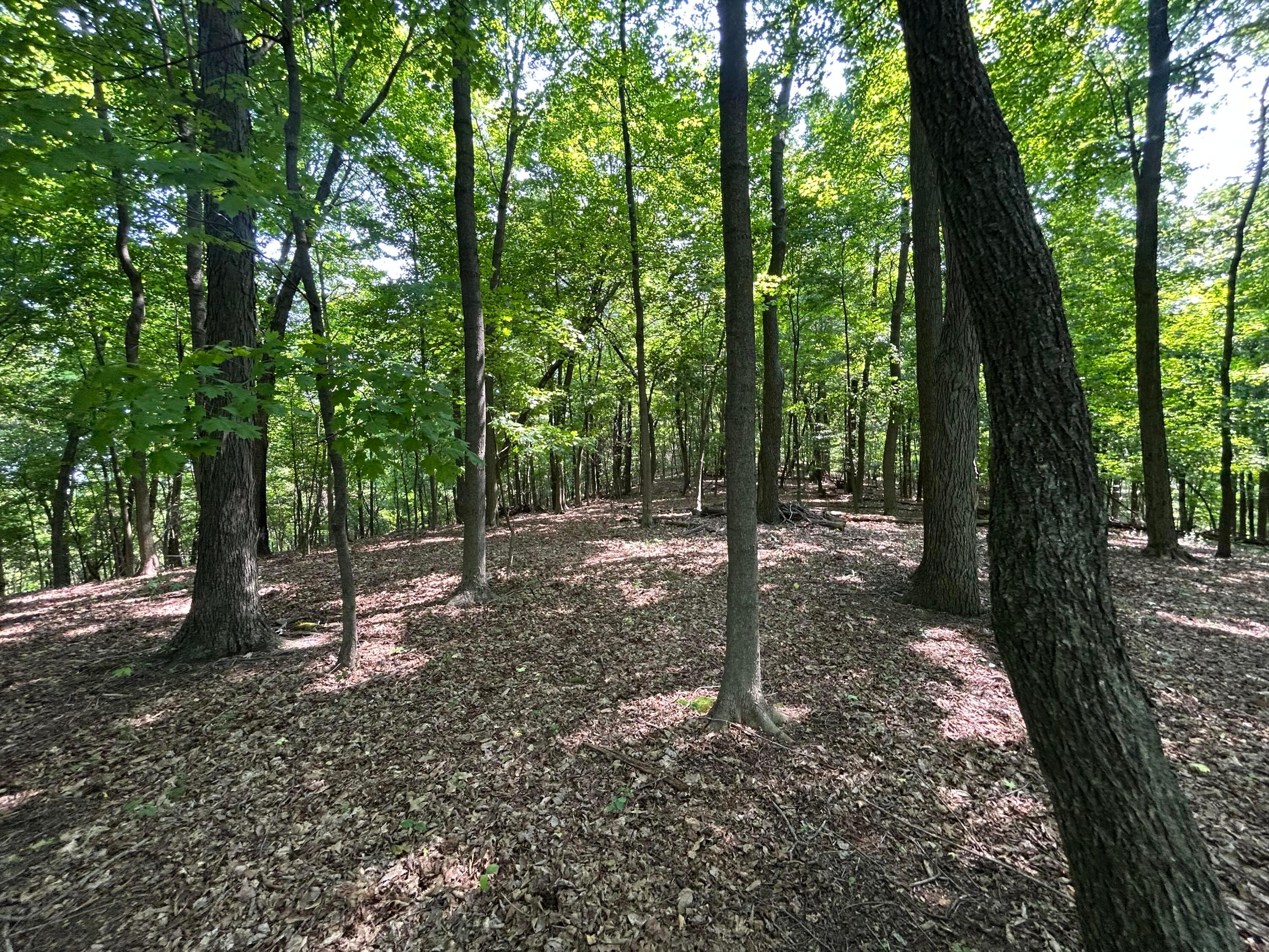 Cumberland Crest, Heath, Ohio image 30
